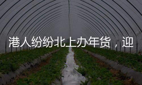 港人紛紛北上辦年貨，迎新春購物熱潮