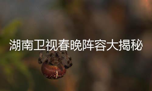 湖南衛(wèi)視春晚陣容大揭秘，星光璀璨，熱議不斷