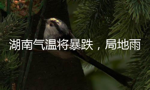 湖南氣溫將暴跌，局地雨夾雪——天氣預(yù)警及應(yīng)對(duì)指南