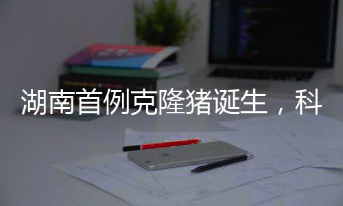 湖南首例克隆豬誕生，科技前沿的突破與創(chuàng)新里程碑