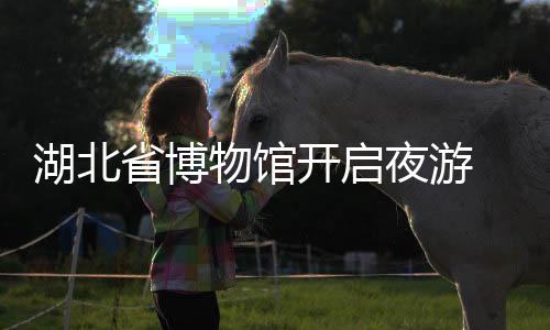 湖北省博物館開(kāi)啟夜游 元宵奇妙夜精彩上演