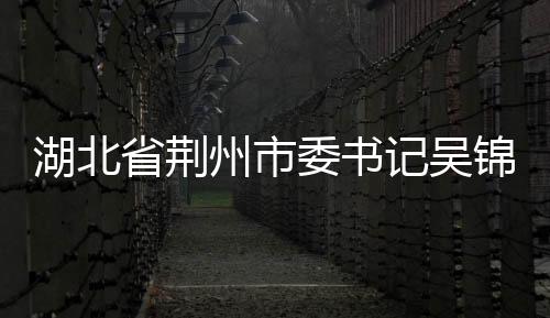 湖北省荊州市委書(shū)記吳錦接受審查調(diào)查