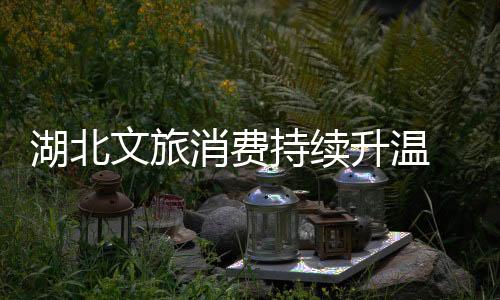 湖北文旅消費(fèi)持續(xù)升溫 非遺活動(dòng)年味十足
