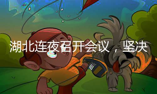 湖北連夜召開會(huì)議，堅(jiān)決擁護(hù)中央對(duì)蔣超良的調(diào)查
