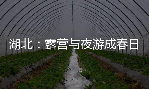 湖北：露營與夜游成春日經(jīng)濟消費新熱點