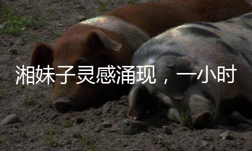 湘妹子靈感涌現(xiàn)，一小時內(nèi)為王菲譜寫新歌歌詞