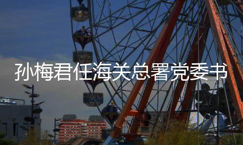 孫梅君任海關總署黨委書記