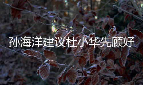 孫海洋建議杜小華先顧好身體和家庭，關(guān)注個人健康，平衡工作與家庭關(guān)系
