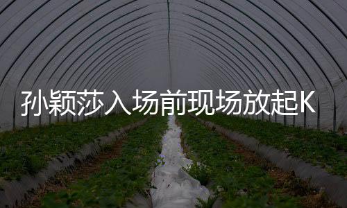 孫穎莎入場前現(xiàn)場放起KISS莎莎，賽場上的熱烈瞬間與球迷的深情呼喚