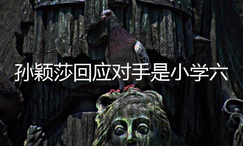 孫穎莎回應(yīng)對(duì)手是小學(xué)六年級(jí)，一位天才少女的自述與成長(zhǎng)之路