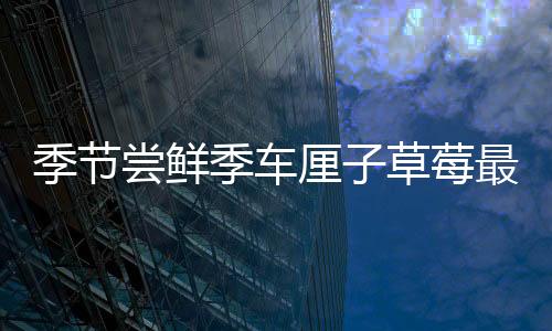 季節(jié)嘗鮮季車?yán)遄硬葺罡咝詢r(jià)比時(shí)刻來臨