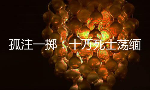 孤注一擲：十萬死士蕩緬北，稱帝