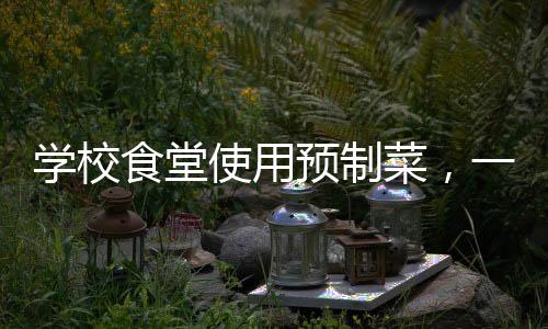 學校食堂使用預制菜，一種趨勢還是選擇？