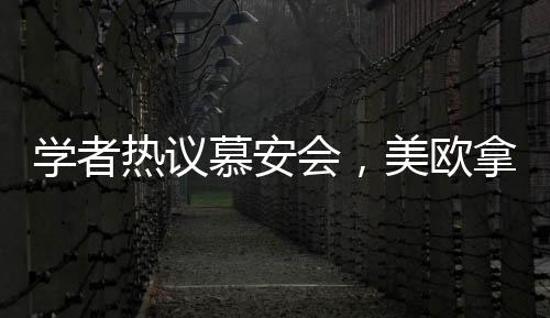 學(xué)者熱議慕安會(huì)，美歐拿錯(cuò)劇本，全球秩序重塑引深思