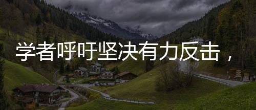 學(xué)者呼吁堅決有力反擊，實現(xiàn)平等對話——中美關(guān)系的多維度解讀