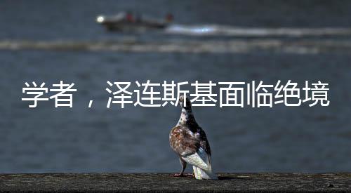 學(xué)者，澤連斯基面臨絕境，未來走向成疑