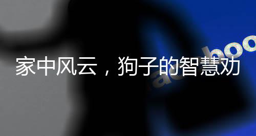 家中風(fēng)云，狗子的智慧勸架，男女主人和解之道