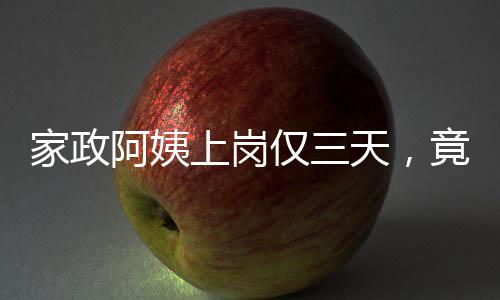 家政阿姨上崗僅三天，竟偷走雇主家三十萬(wàn)元物品——事件深度剖析