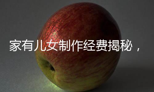 家有兒女制作經(jīng)費揭秘，餐桌上的投資細(xì)節(jié)分析