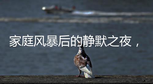 家庭風(fēng)暴后的靜默之夜，兒子含淚收拾父母爭吵的殘局