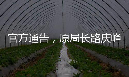 官方通告，原局長路慶峰被敦促投案自首