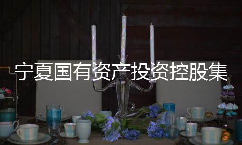 寧夏國(guó)有資產(chǎn)投資控股集團(tuán)有限公司原黨委書記、董事長(zhǎng)趙其宏一審獲刑十二年