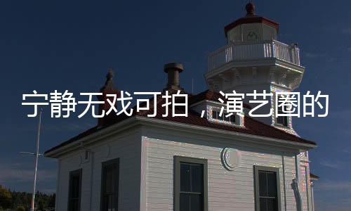寧靜無戲可拍，演藝圈的現(xiàn)實與挑戰(zhàn)