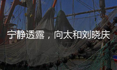 寧?kù)o透露，向太和劉曉慶是我的恩人
