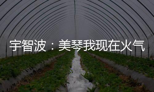 宇智波：美琴我現(xiàn)在火氣有點大