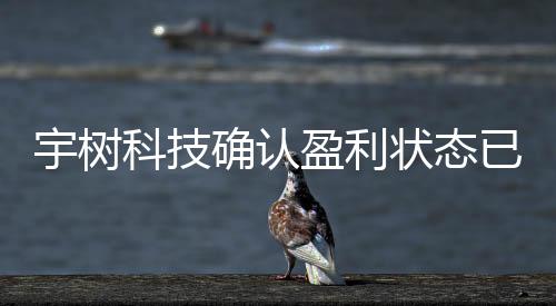 宇樹科技確認(rèn)盈利狀態(tài)已持續(xù)至少五年，業(yè)績穩(wěn)健，屬實(shí)無疑