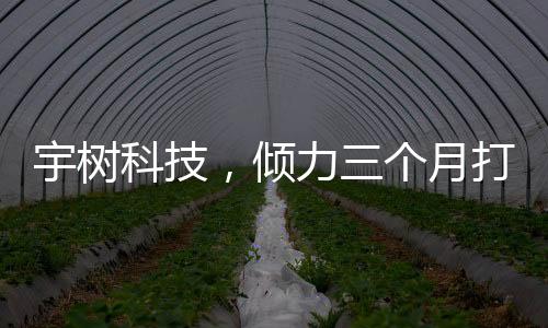 宇樹(shù)科技，傾力三個(gè)月打造，機(jī)器人扭秧歌驚艷亮相