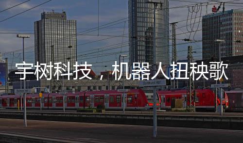 宇樹科技，機器人扭秧歌項目揭秘，歷時三個月精心排練的成果