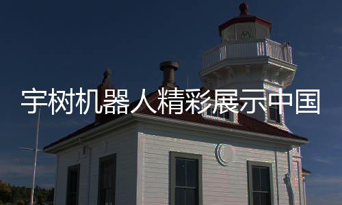 宇樹(shù)機(jī)器人精彩展示中國(guó)功夫，見(jiàn)證科技與文化的融合之美