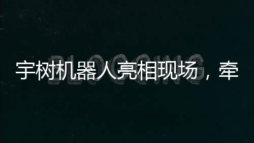 宇樹(shù)機(jī)器人亮相現(xiàn)場(chǎng)，牽繩遛狗技術(shù)展示引人矚目