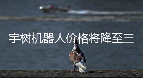 宇樹機器人價格將降至三四千元，引領(lǐng)科技潮流的新起點