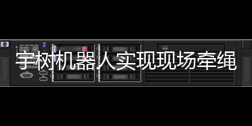 宇樹機(jī)器人實(shí)現(xiàn)現(xiàn)場(chǎng)牽繩遛狗技術(shù)，智能機(jī)器人領(lǐng)域再掀革命浪潮