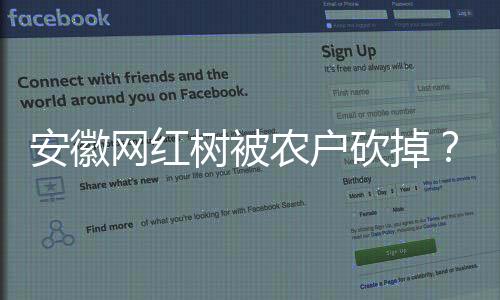安徽網(wǎng)紅樹被農(nóng)戶砍掉？當(dāng)?shù)鼗貞?yīng)