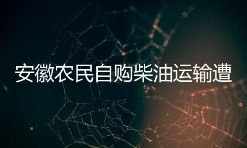 安徽農(nóng)民自購柴油運(yùn)輸遭罰事件，聚焦油品監(jiān)管與個體權(quán)益保障