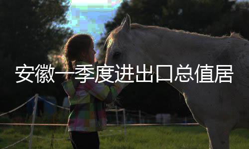 安徽一季度進(jìn)出口總值居中國(guó)中部省份第一