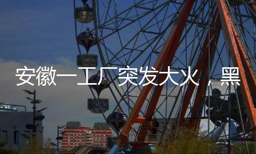 安徽一工廠突發(fā)大火，黑色煙柱直沖云霄