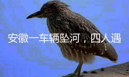 安徽一車輛墜河，四人遇難事故追蹤報道