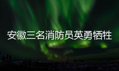 安徽三名消防員英勇犧牲，家屬無悔堅(jiān)守