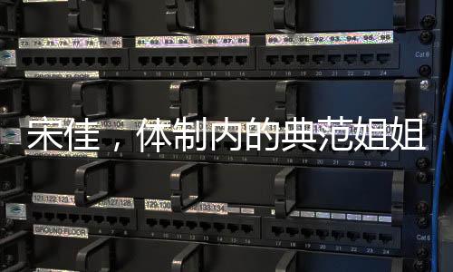 宋佳，體制內(nèi)的典范姐姐