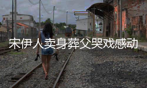 宋伊人賣身葬父哭戲感動章子怡，演技背后的故事與情感深度探討