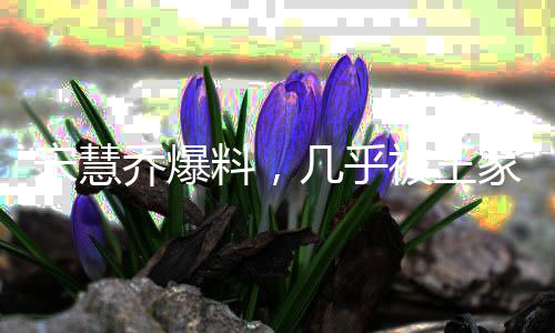 宋慧喬爆料，幾乎被王家衛(wèi)綁三年，深度探究背后的故事