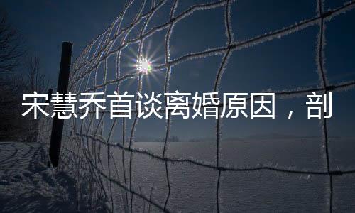 宋慧喬首談離婚原因，剖析背后的多重因素與反思