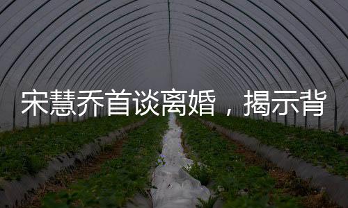 宋慧喬首談離婚，揭示背后故事與情感轉(zhuǎn)折