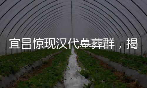 宜昌驚現(xiàn)漢代墓葬群，揭示千年文明的瑰寶