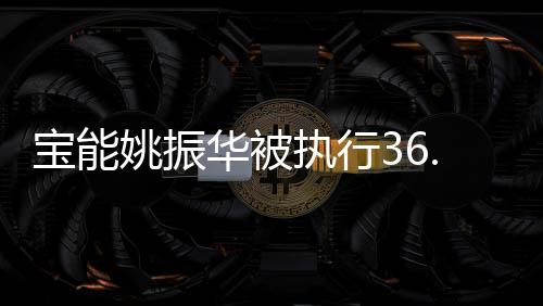 寶能姚振華被執(zhí)行36.6億，揭秘背后的故事與影響