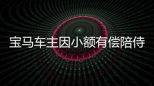 寶馬車主因小額有償陪侍被舉報(bào)事件曝光